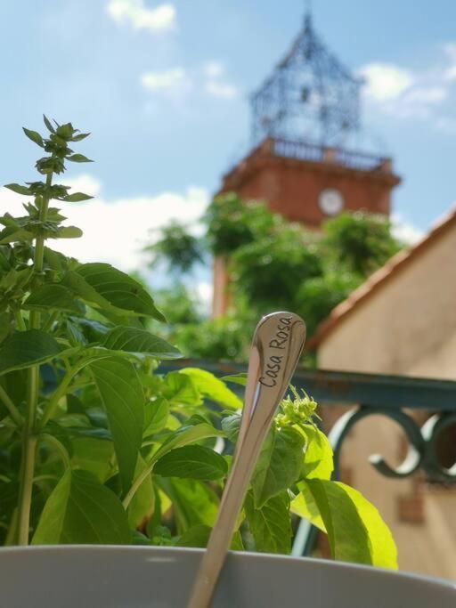 Casa Rosa, Un Petit Cocon Catalan Villa Ortaffa Buitenkant foto