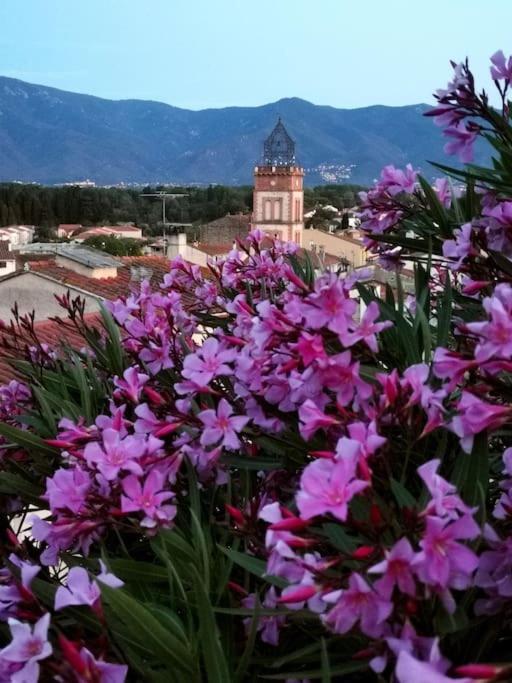 Casa Rosa, Un Petit Cocon Catalan Villa Ortaffa Buitenkant foto